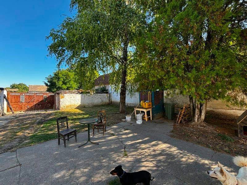 Foto 18