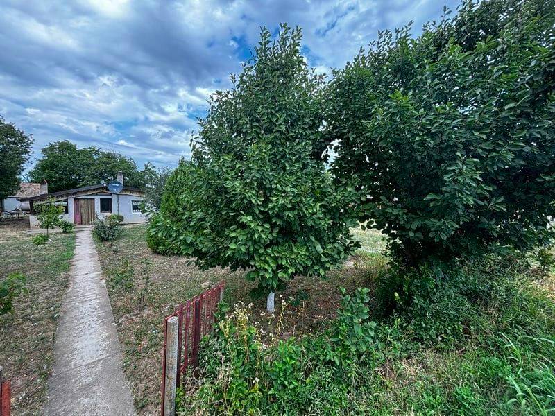 Foto 11
