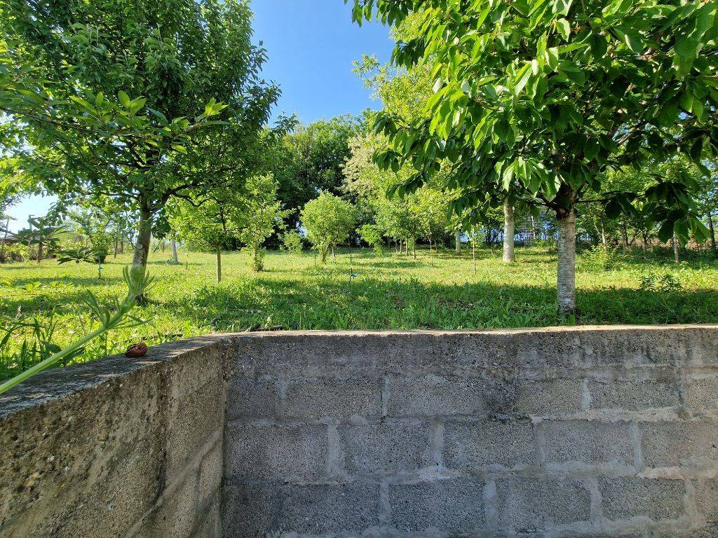 Foto 33