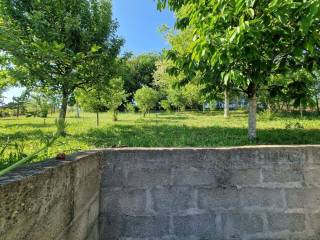 Foto 33