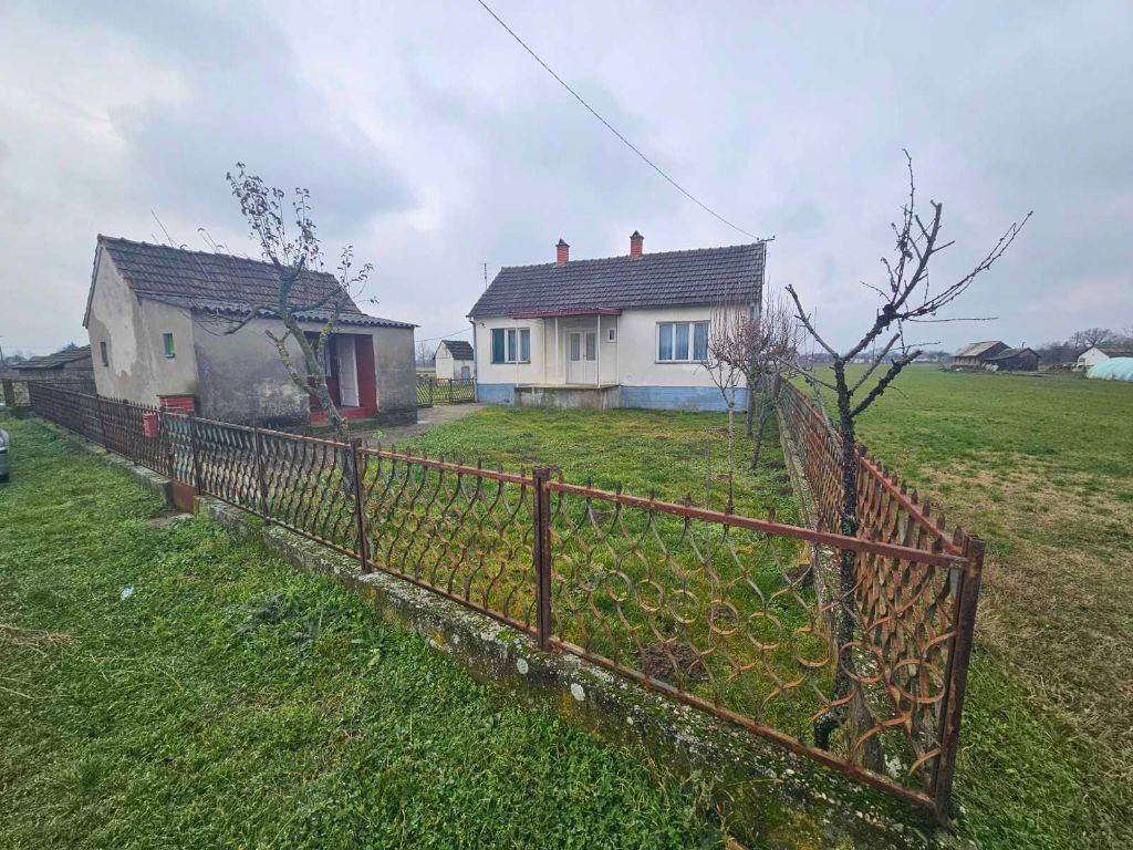 Foto 7