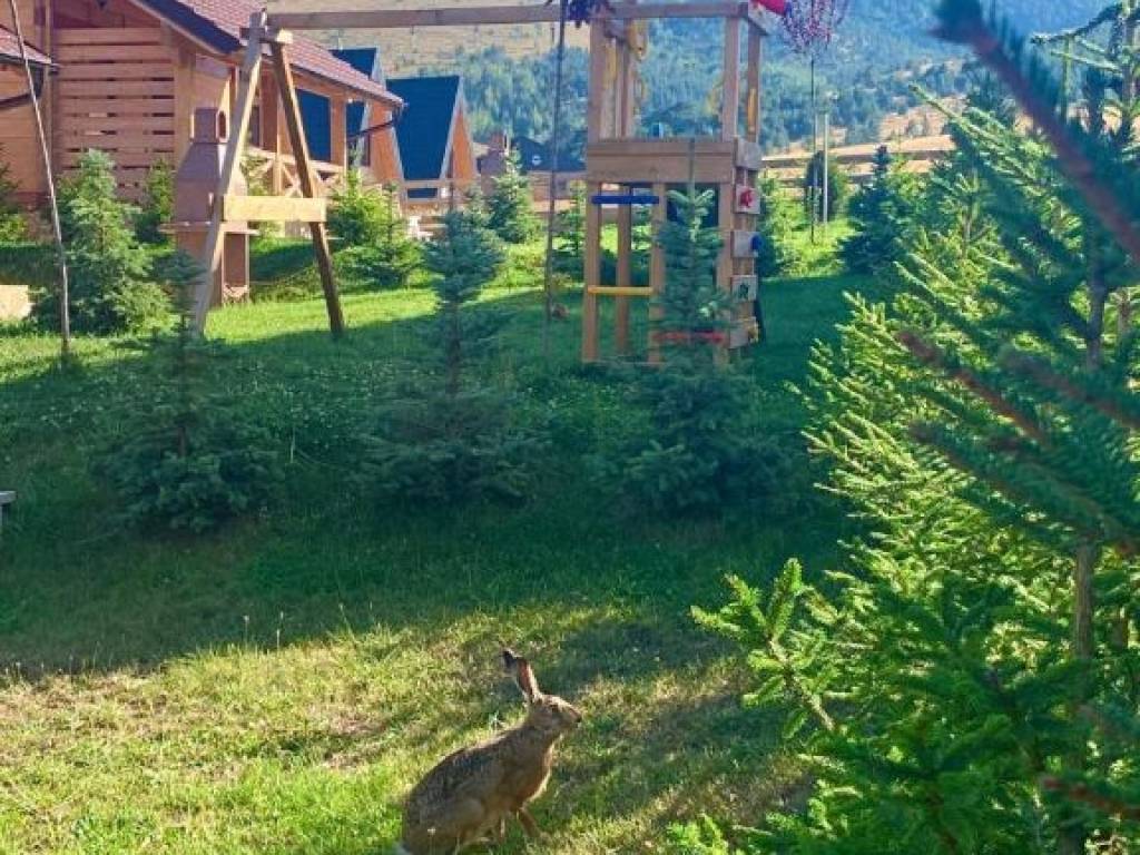 Foto 14