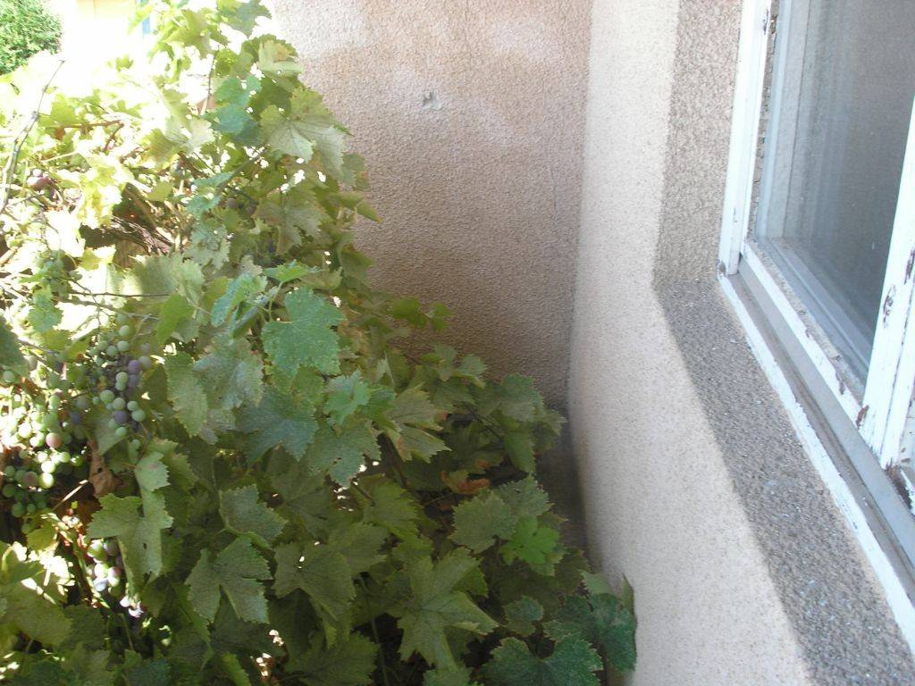 Foto 28