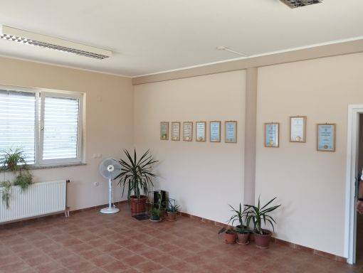 Foto 12