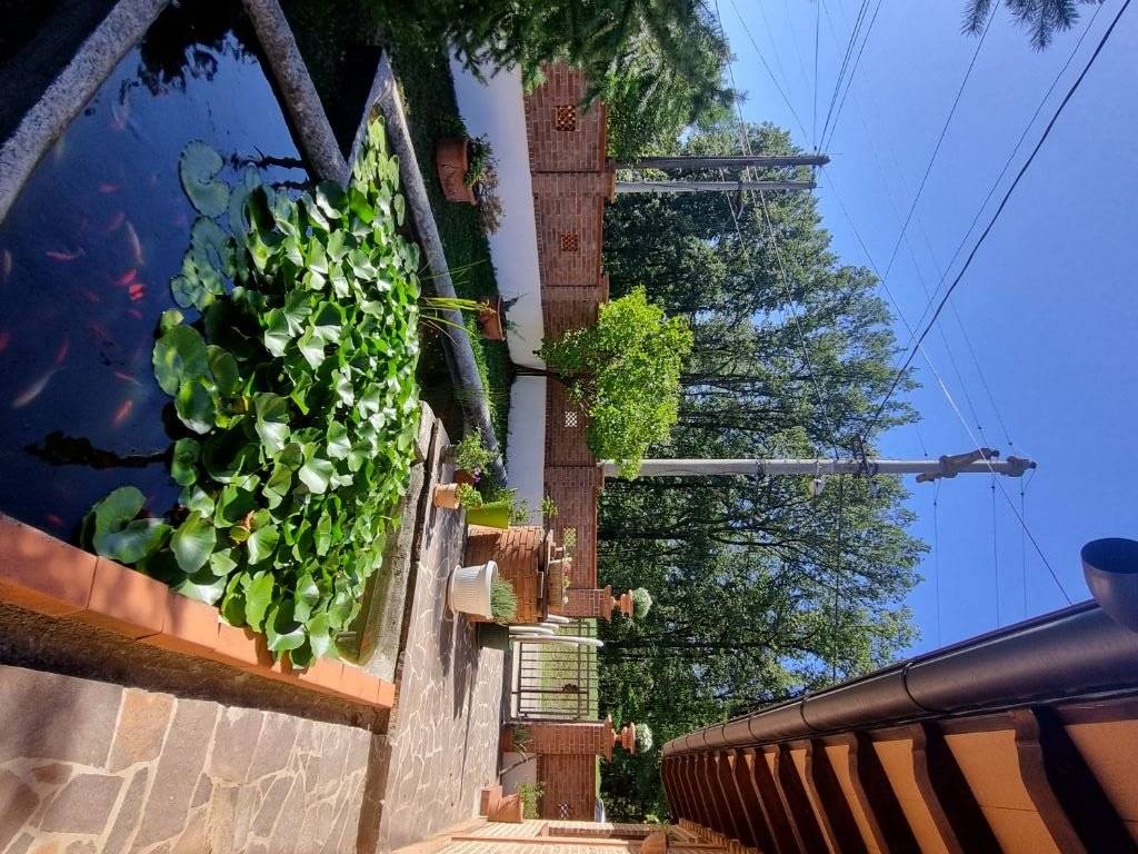 Foto 27