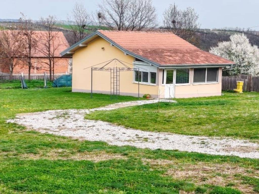 Foto 19