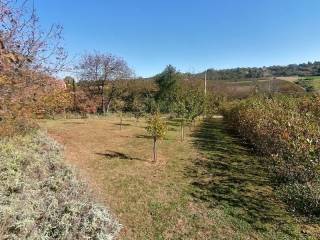 Foto 21