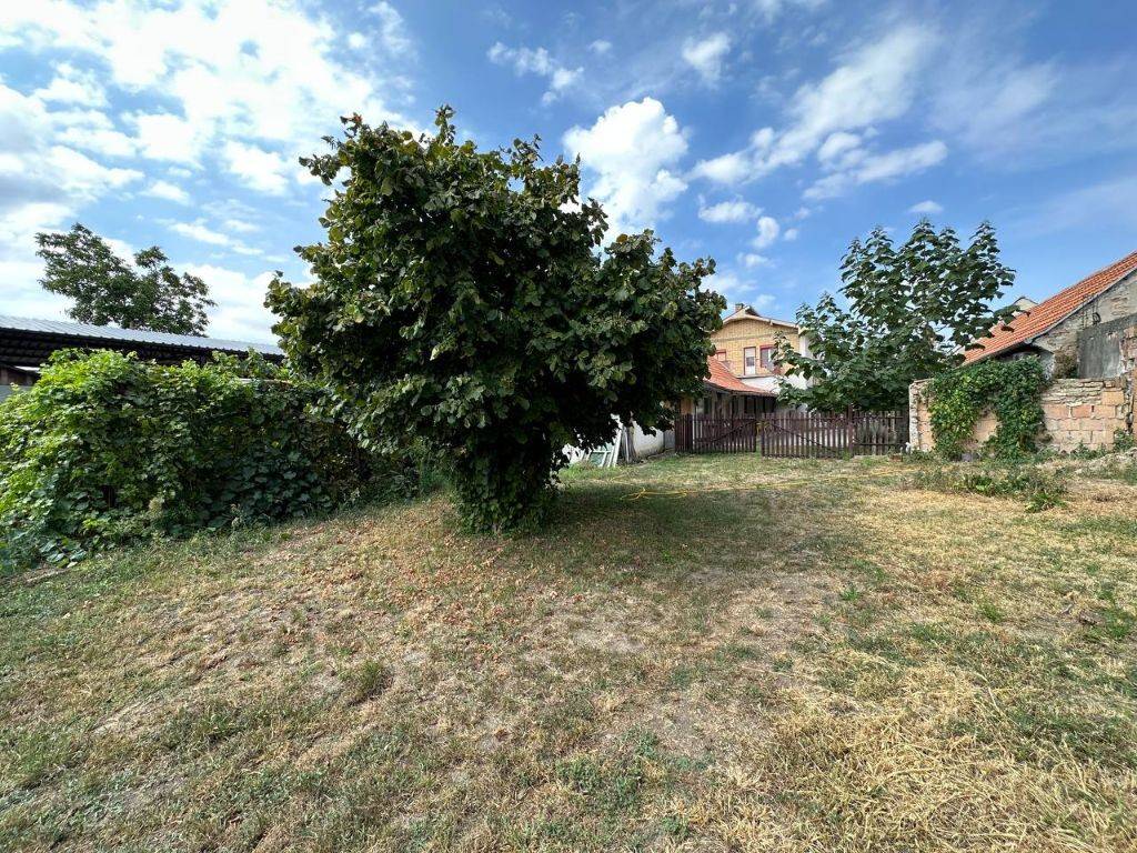 Foto 23