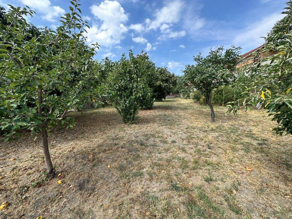 Foto 24
