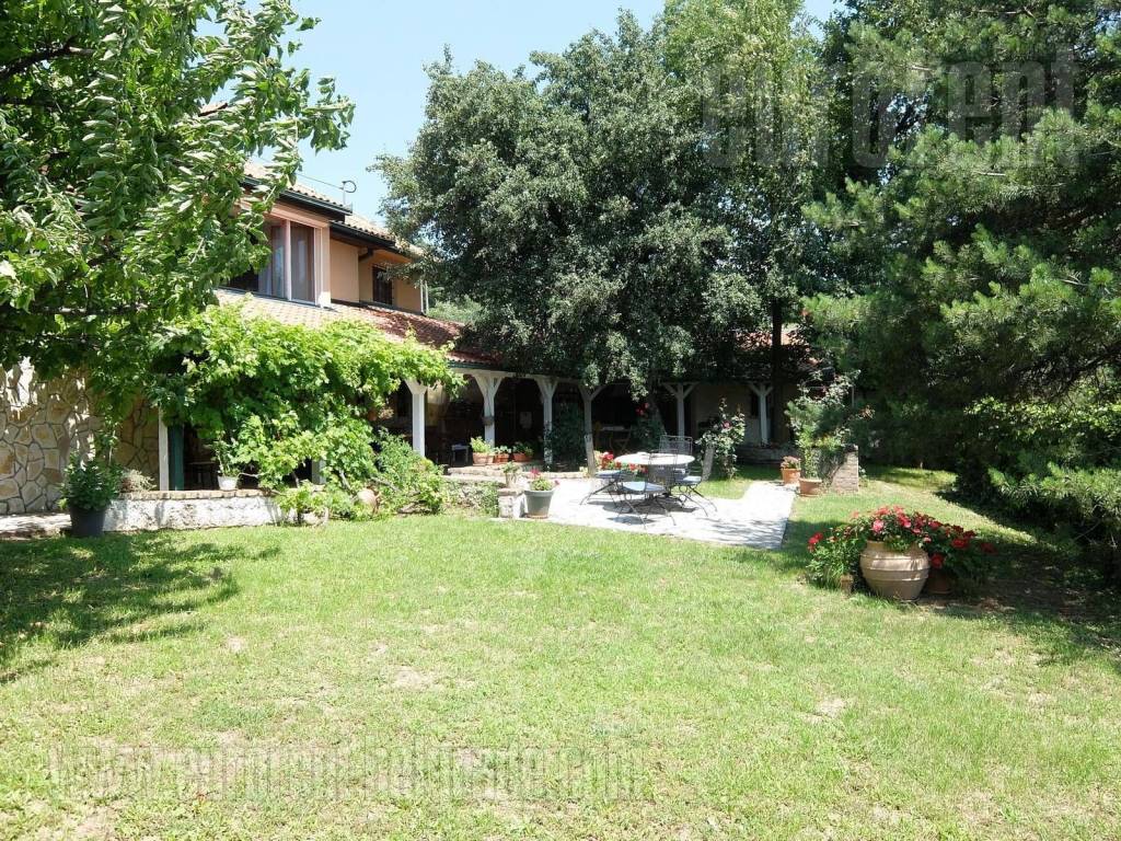 Foto 10