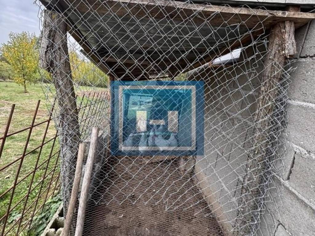 Foto 45