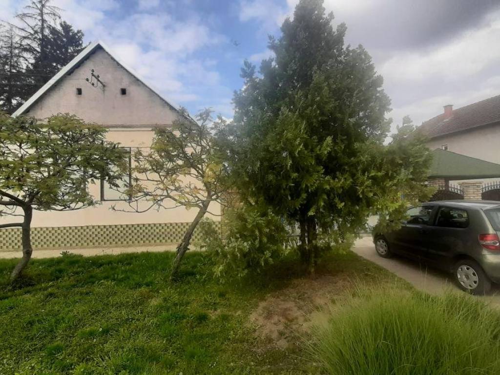 Foto 20