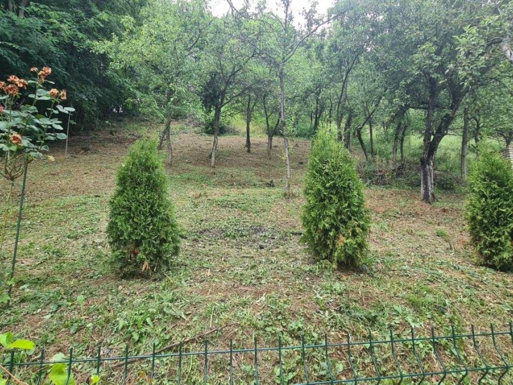 Foto 10