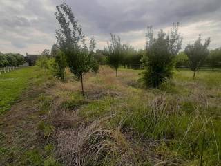 Foto 23