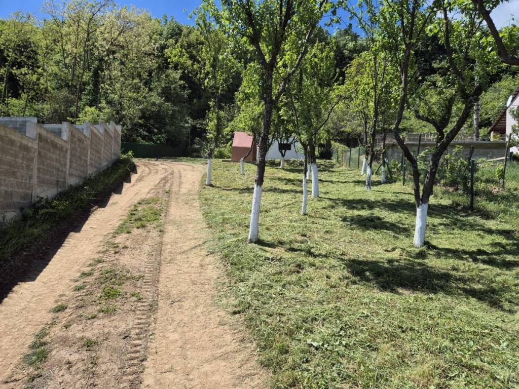 Foto 21