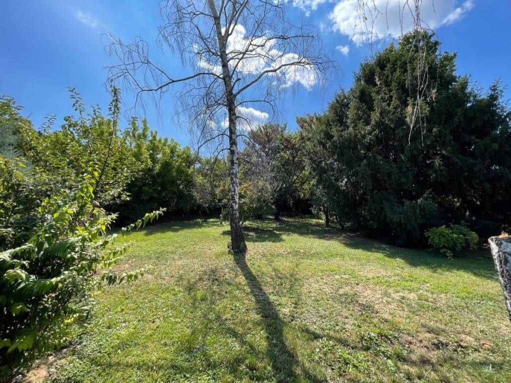 Foto 20