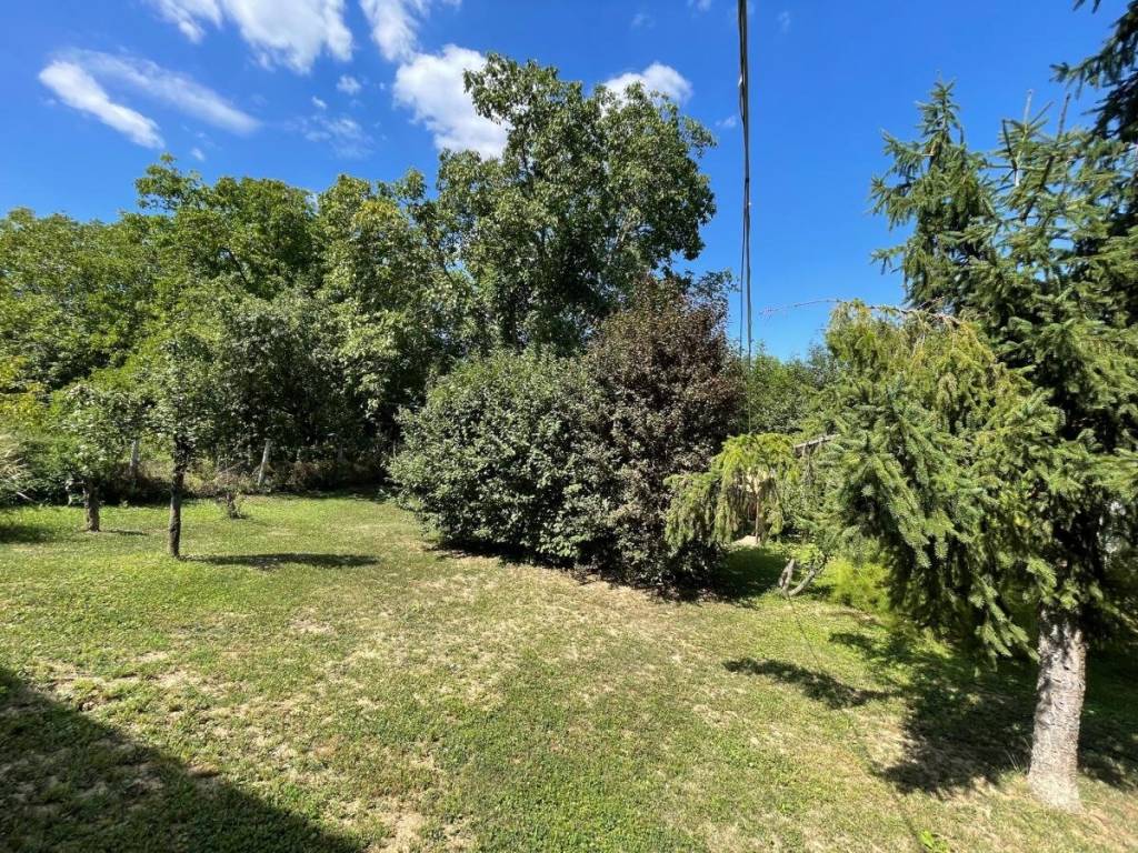 Foto 21