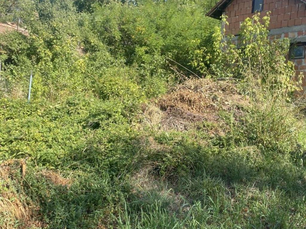 Foto 11