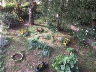 Foto 12