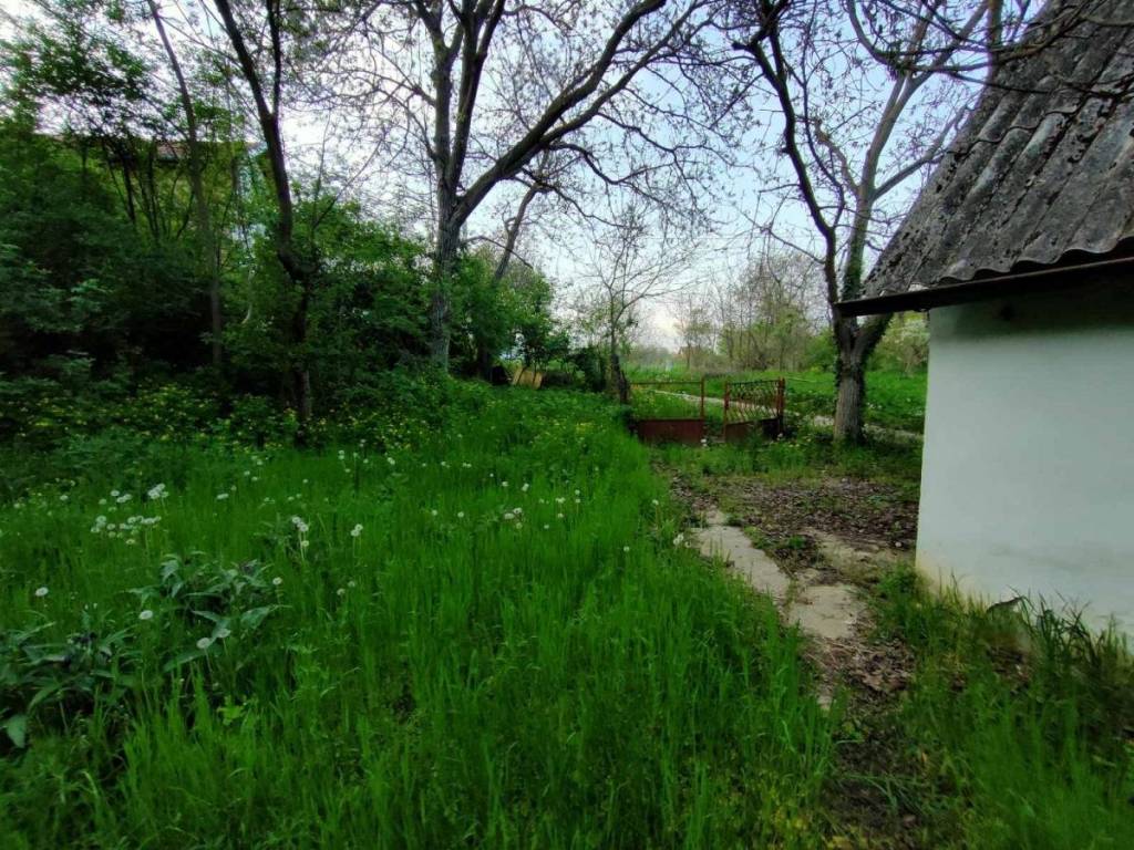Foto 7