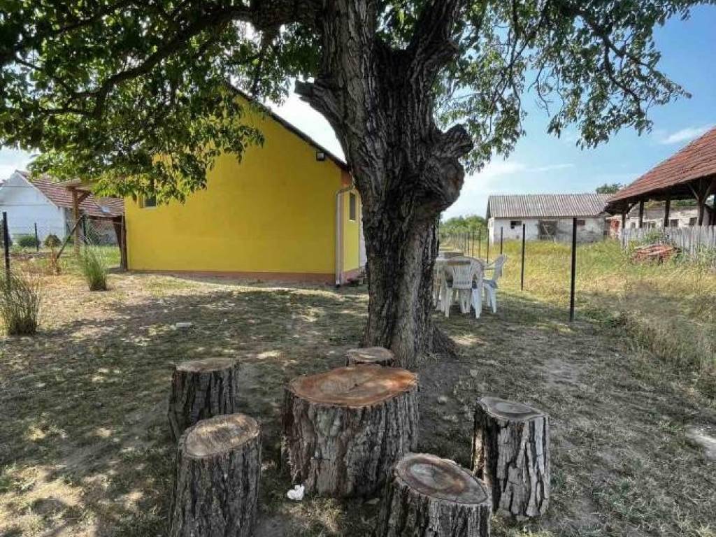Foto 20