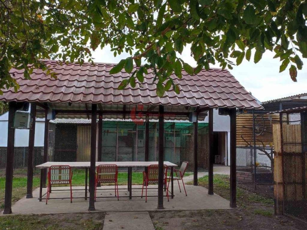 Foto 6