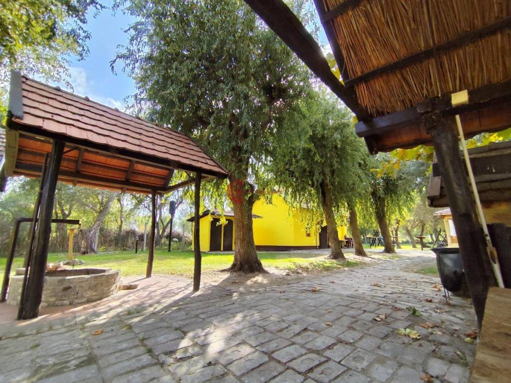 Foto 12