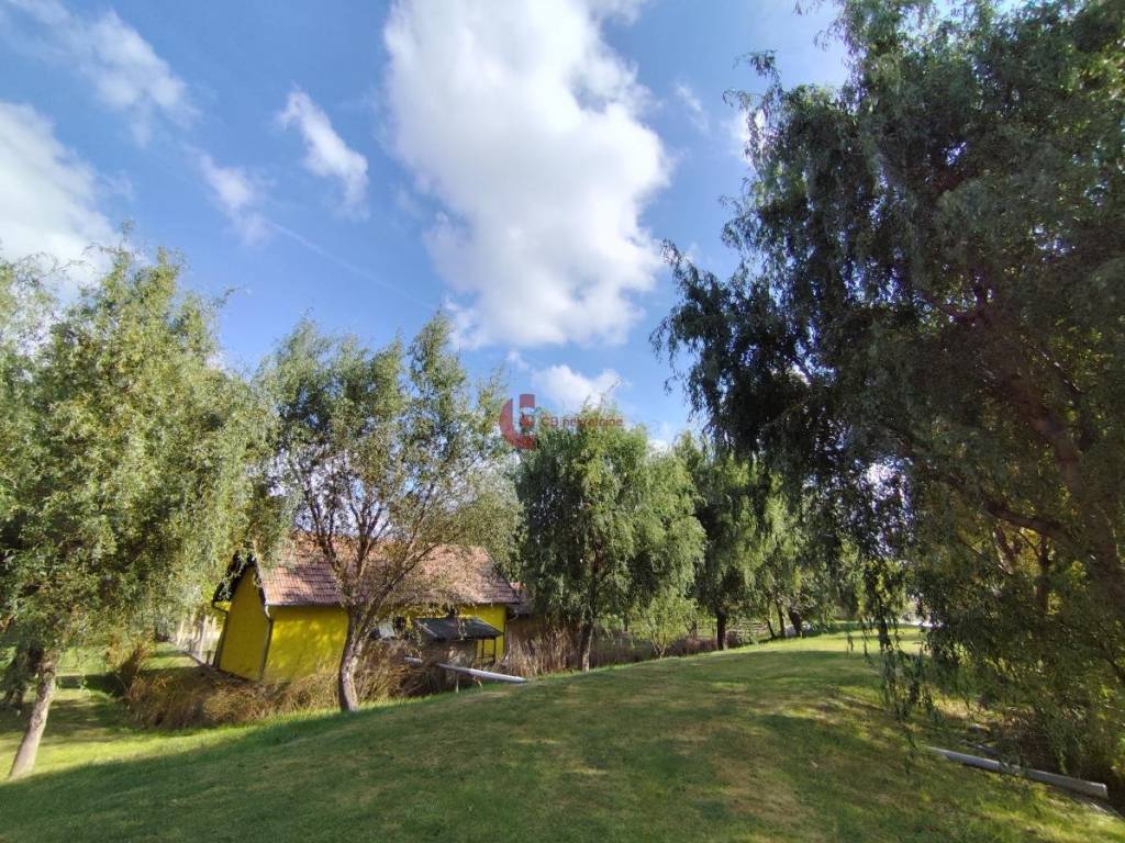 Foto 16