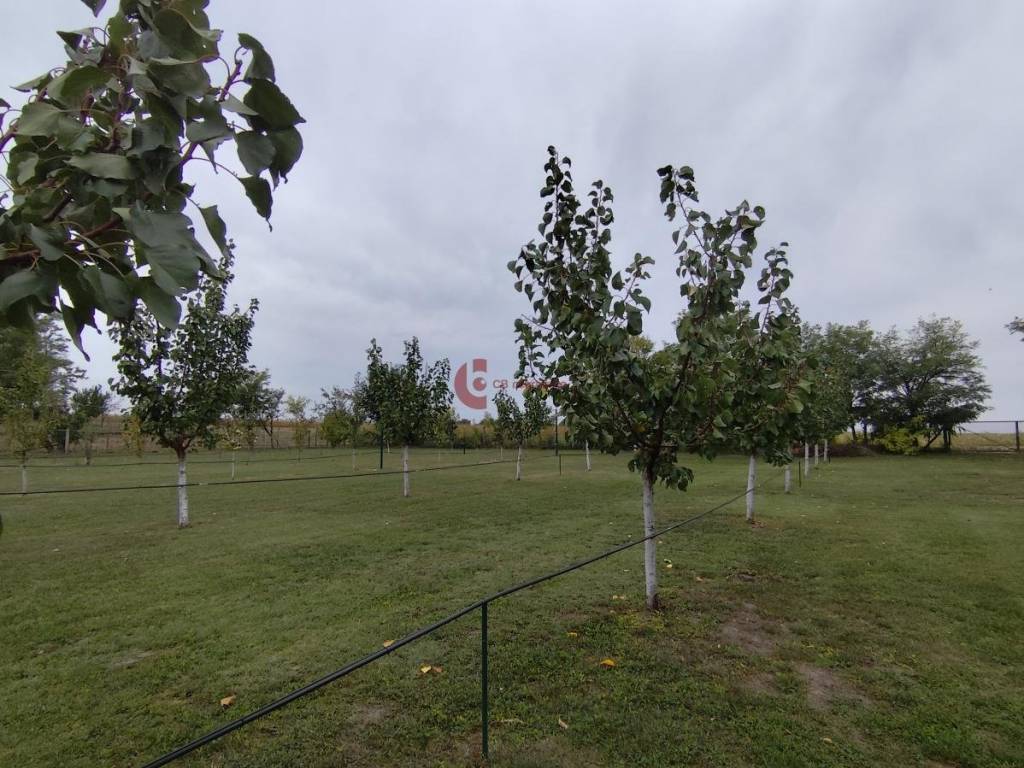 Foto 21