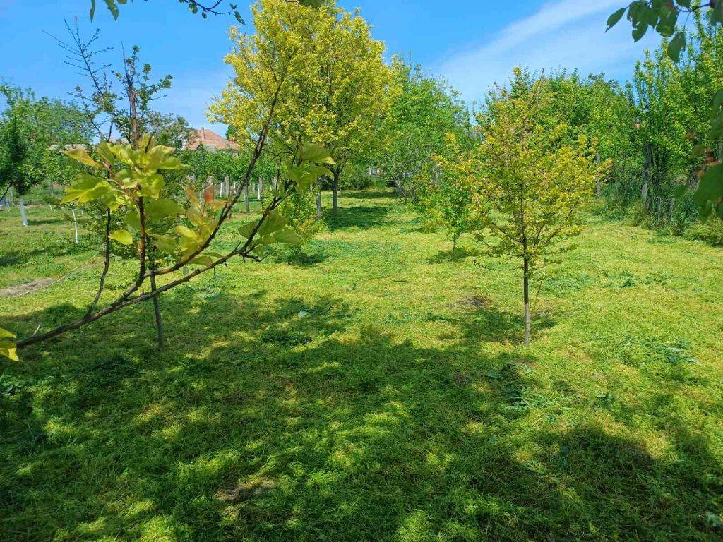 Foto 30