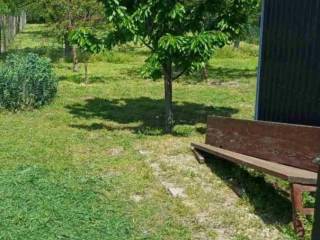 Foto 31