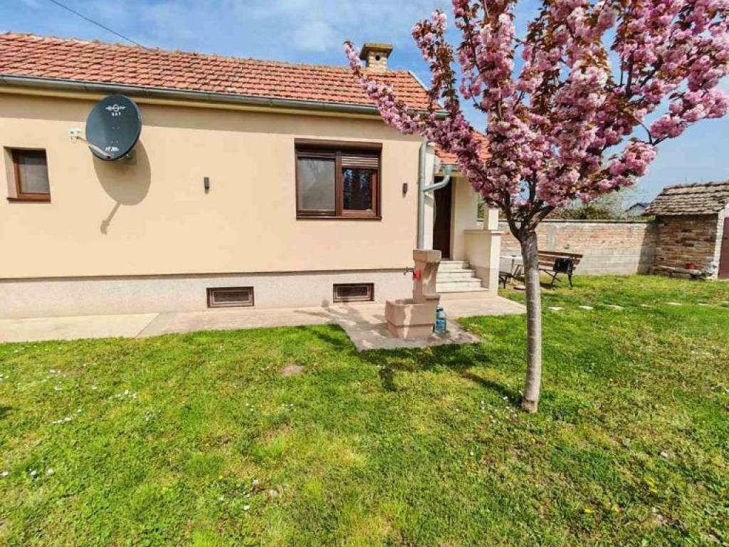 Foto 21