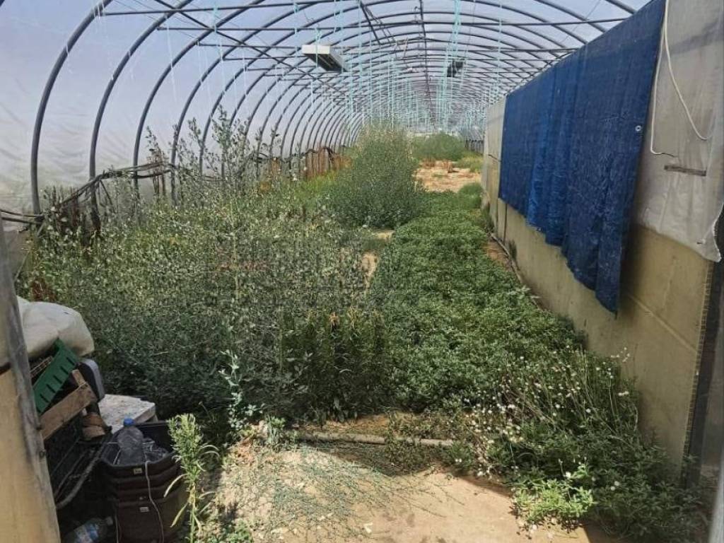 Foto 32