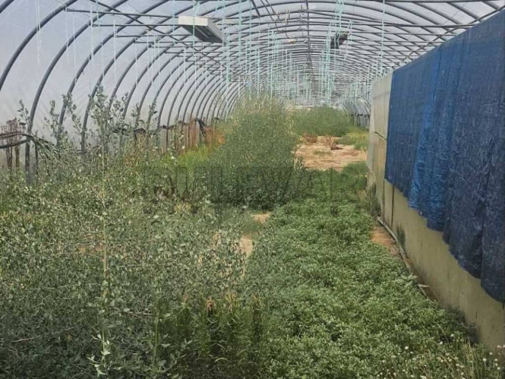 Foto 36
