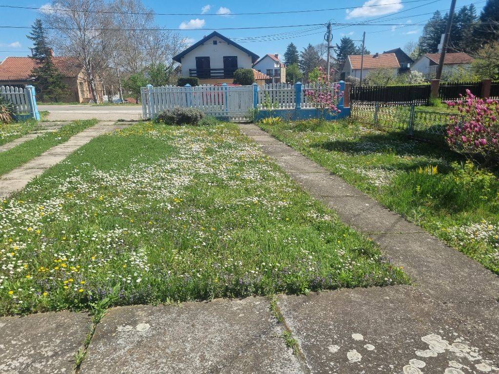 Foto 23