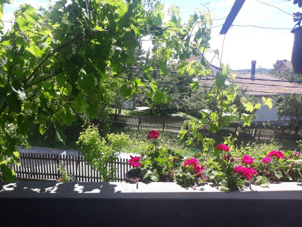 Foto 19