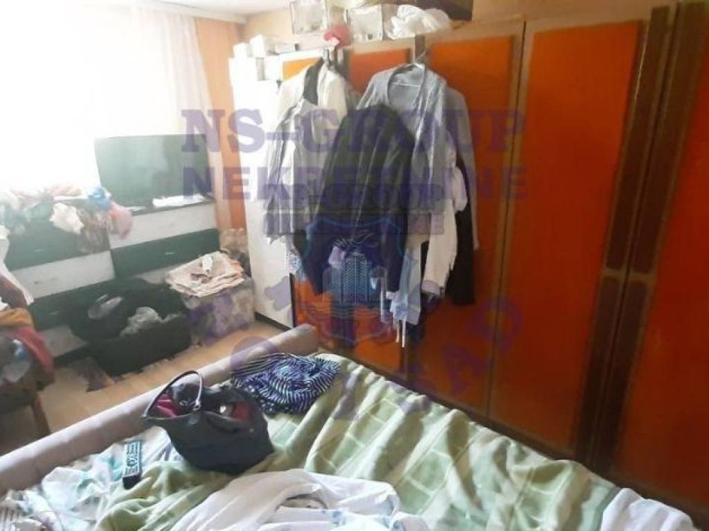 Foto 7