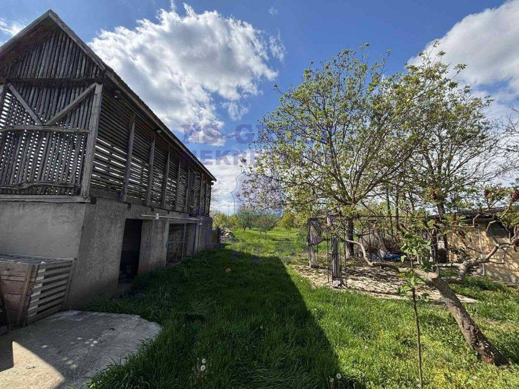 Foto 10