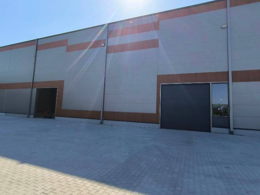 Foto 7