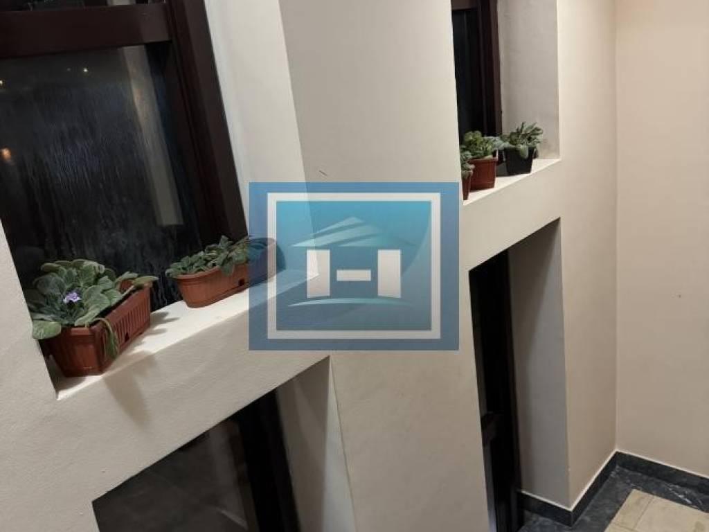Foto 55