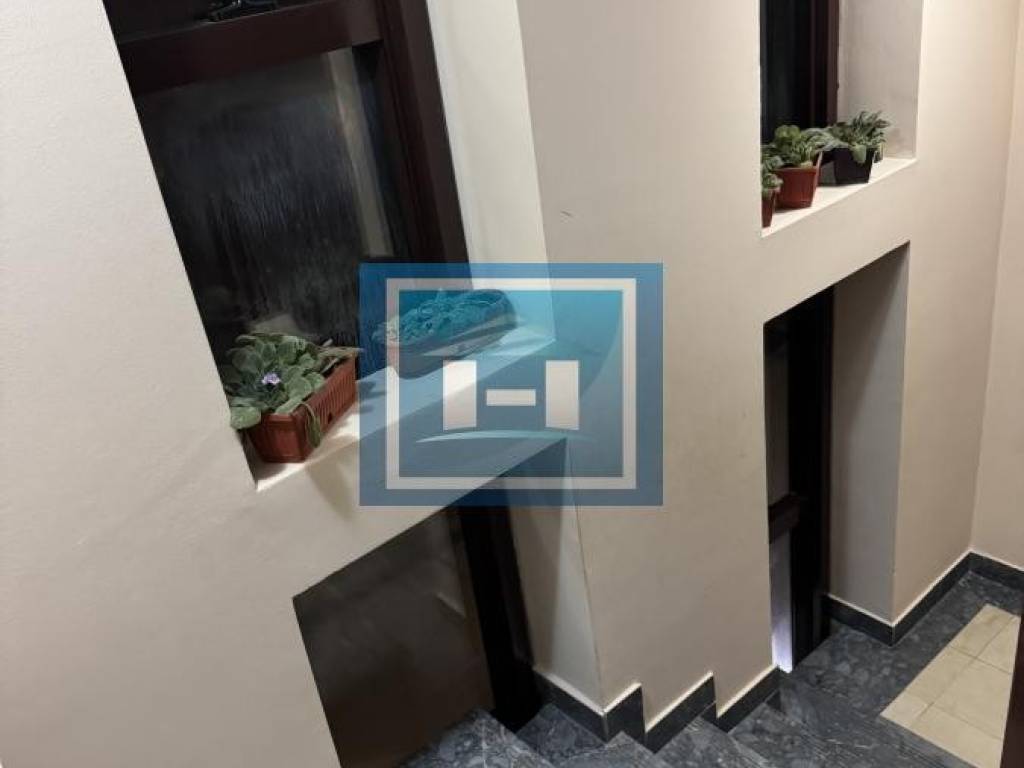 Foto 56