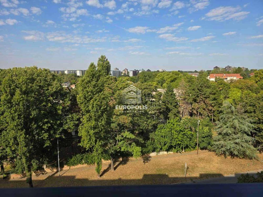 Foto 15