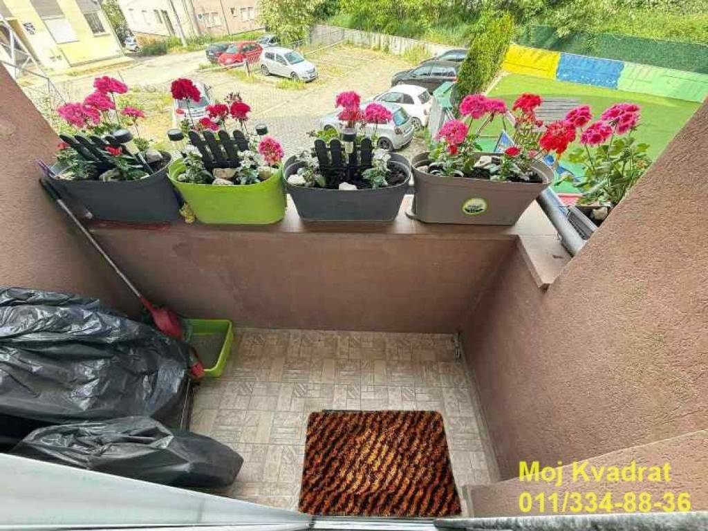 Foto 12