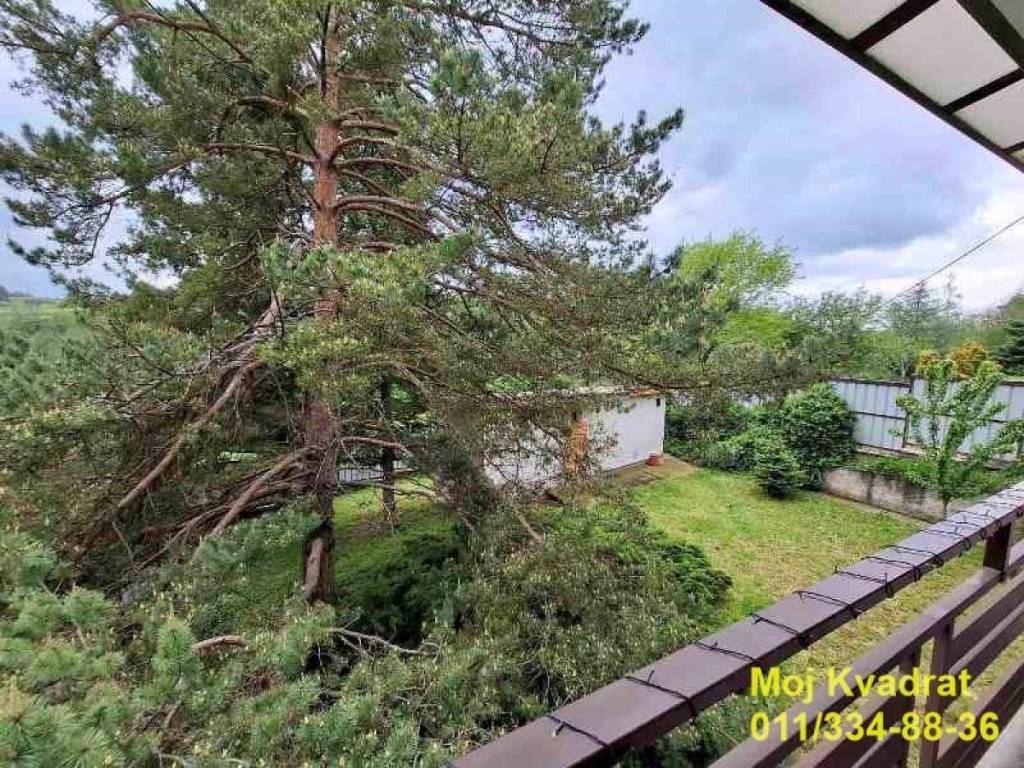 Foto 20