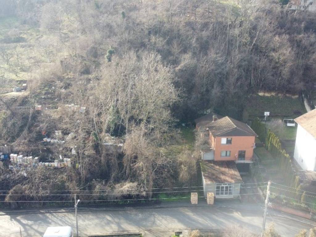 Foto 15