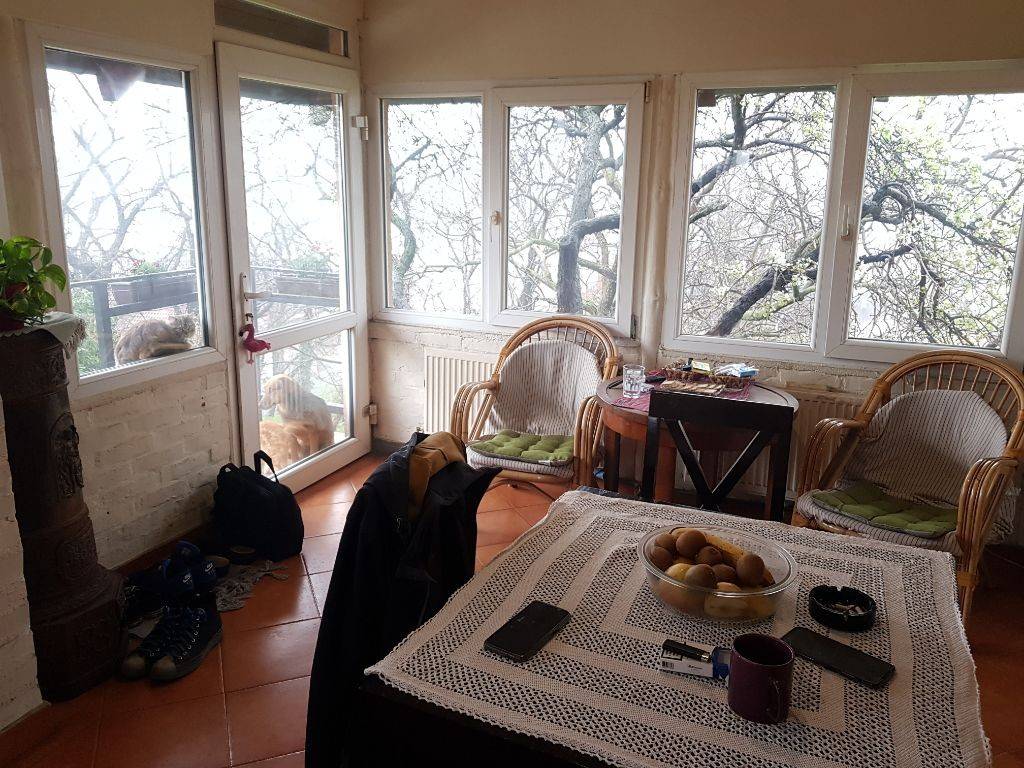 Foto 11