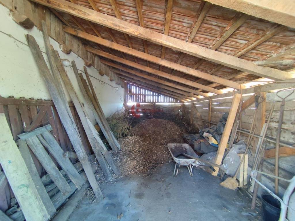 Foto 37