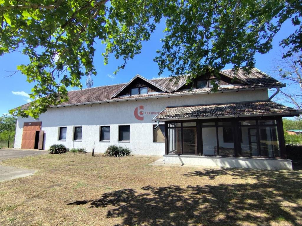 Foto 42