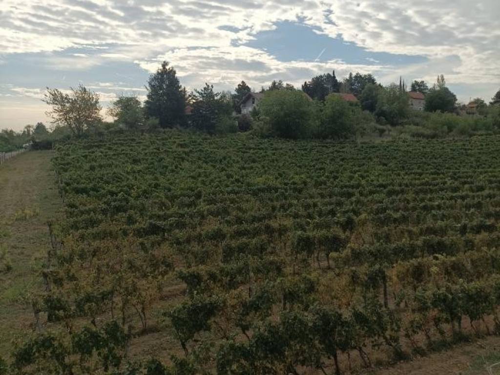 Foto 21