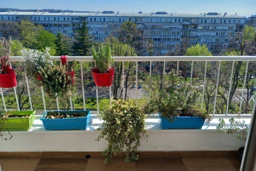 Foto 12